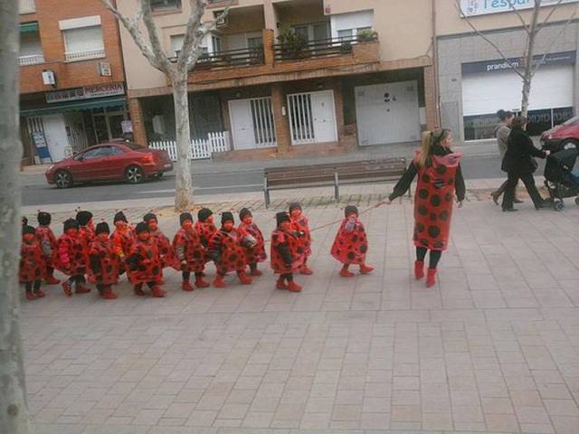 daily picdump 80 pics 20.html - 80 HD Photos | Premium Gallery 2016