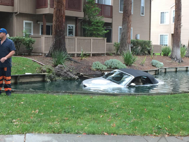 morning picdump 50 pics 10.html - 50 HD Photos | Premium Gallery 2016