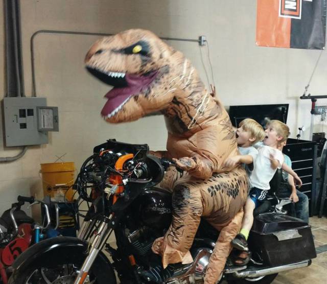 Daily Picdump [WEEKEND EDITION]