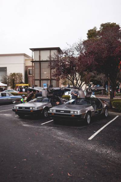 daily picdump weekend edition 52 pics 17.html - 52 HD Photos | Premium Gallery 2016