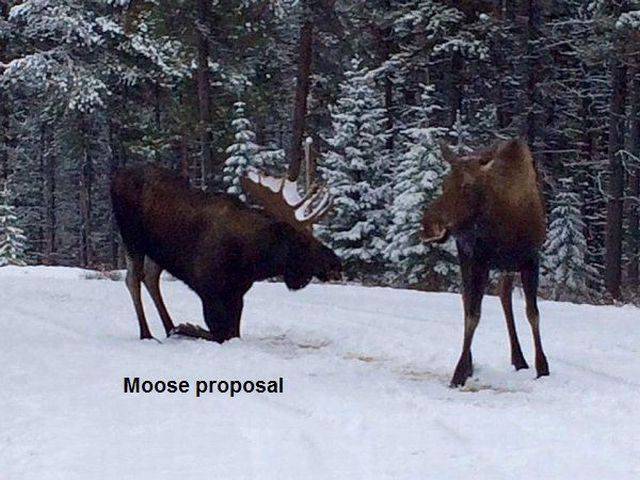 daily picdump 90 pics 9.html - 90 HD Photos | Premium Gallery 2016