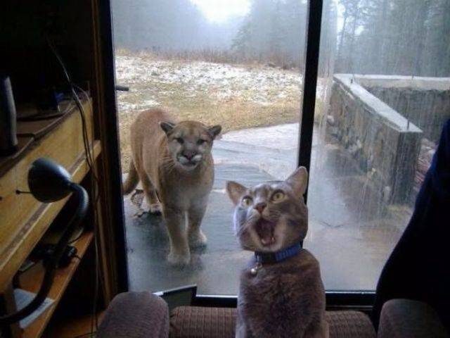 daily picdump 90 pics 9.html - 90 HD Photos | Premium Gallery 2016