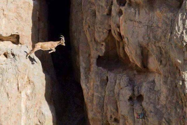 daily picdump 90 pics 9.html - 90 HD Photos | Premium Gallery 2016