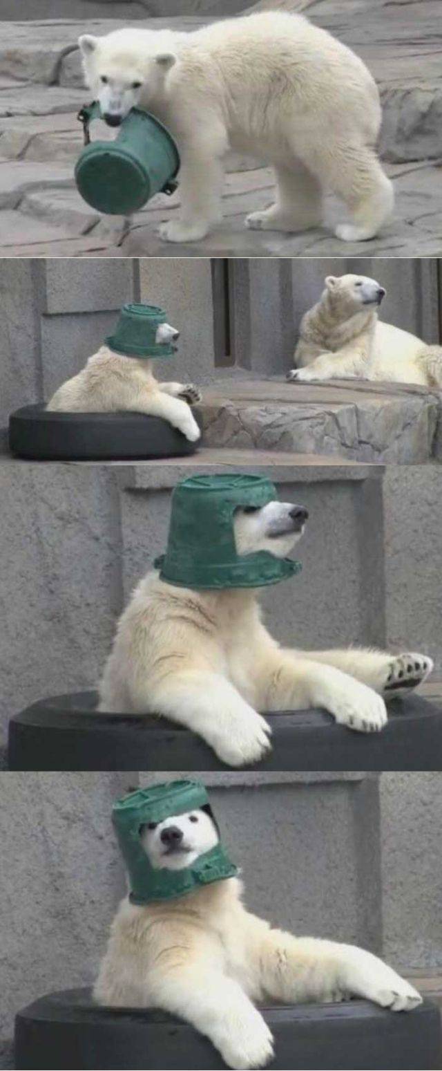 daily picdump 90 pics 9.html - 90 HD Photos | Premium Gallery 2016