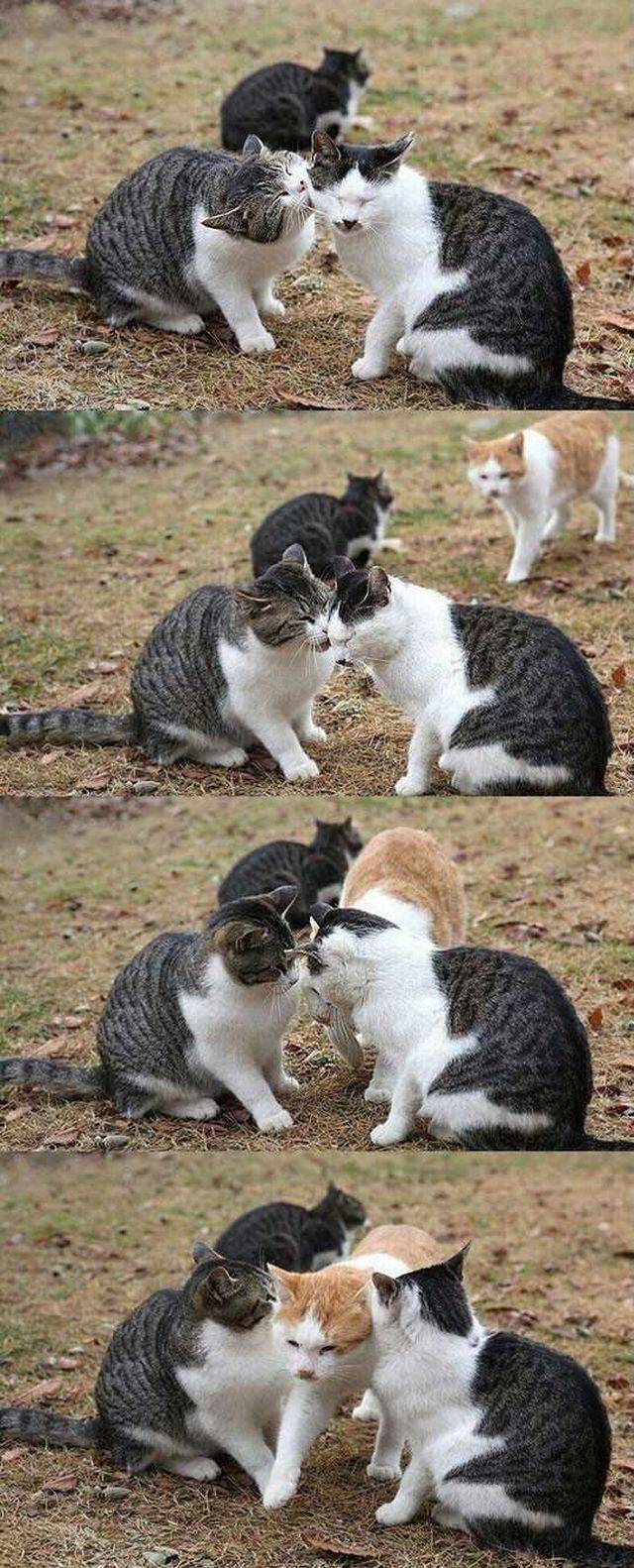 daily picdump 90 pics 9.html - 90 HD Photos | Premium Gallery 2016