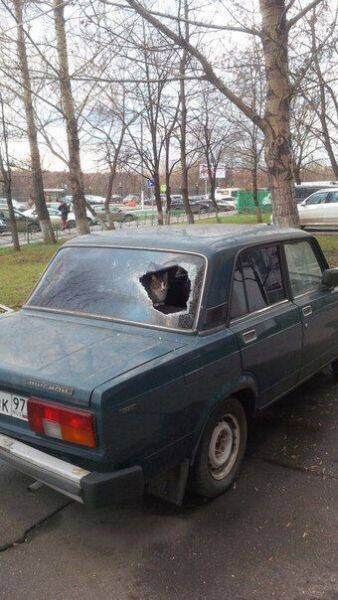 daily picdump 89 pics 11.html - 89 HD Photos | Premium Gallery 2016