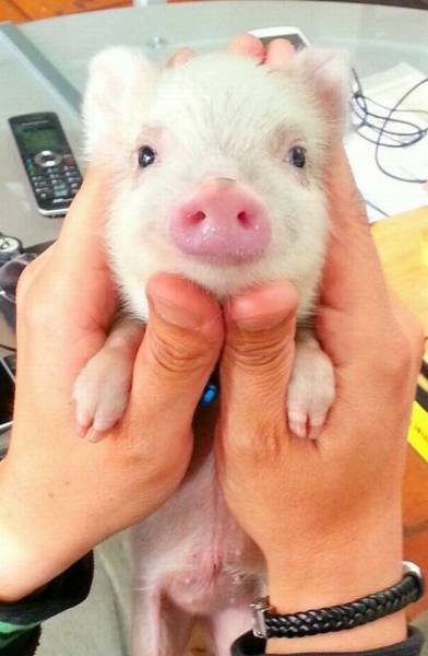 daily picdump 89 pics 11.html - 89 HD Photos | Premium Gallery 2016