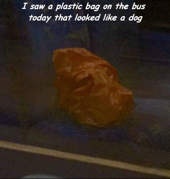 daily picdump 89 pics 11.html - 89 HD Photos | Premium Gallery 2016