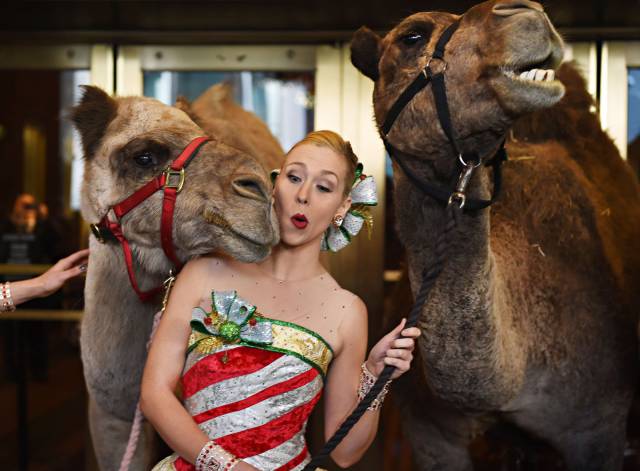 daily picdump 89 pics 11.html - 89 HD Photos | Premium Gallery 2016