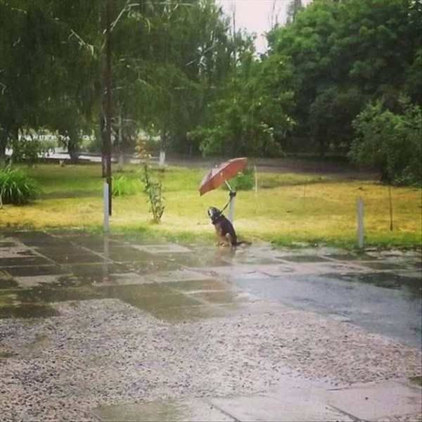 daily picdump 89 pics 11.html - 89 HD Photos | Premium Gallery 2016