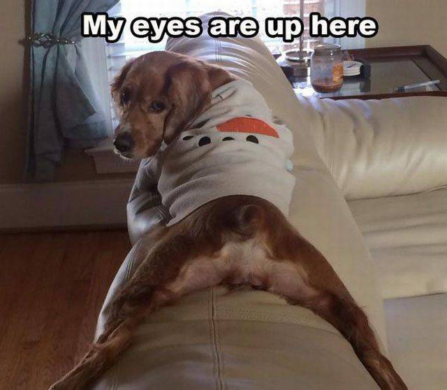 daily picdump 89 pics 11.html - 89 HD Photos | Premium Gallery 2016