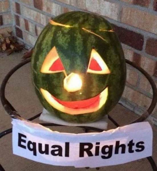 daily picdump 89 pics 11.html - 89 HD Photos | Premium Gallery 2016