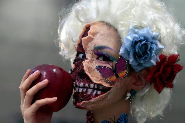 daily picdump 89 pics 11.html - 89 HD Photos | Premium Gallery 2016