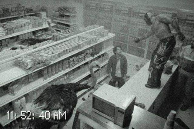 daily picdump 89 pics 11.html - 89 HD Photos | Premium Gallery 2016