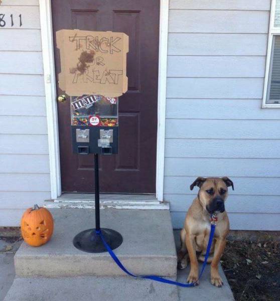 daily picdump 89 pics 11.html - 89 HD Photos | Premium Gallery 2016