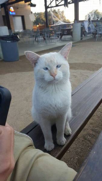 daily picdump 89 pics 11.html - 89 HD Photos | Premium Gallery 2016