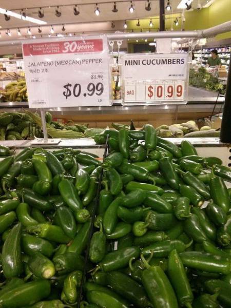 daily picdump 89 pics 11.html - 89 HD Photos | Premium Gallery 2016