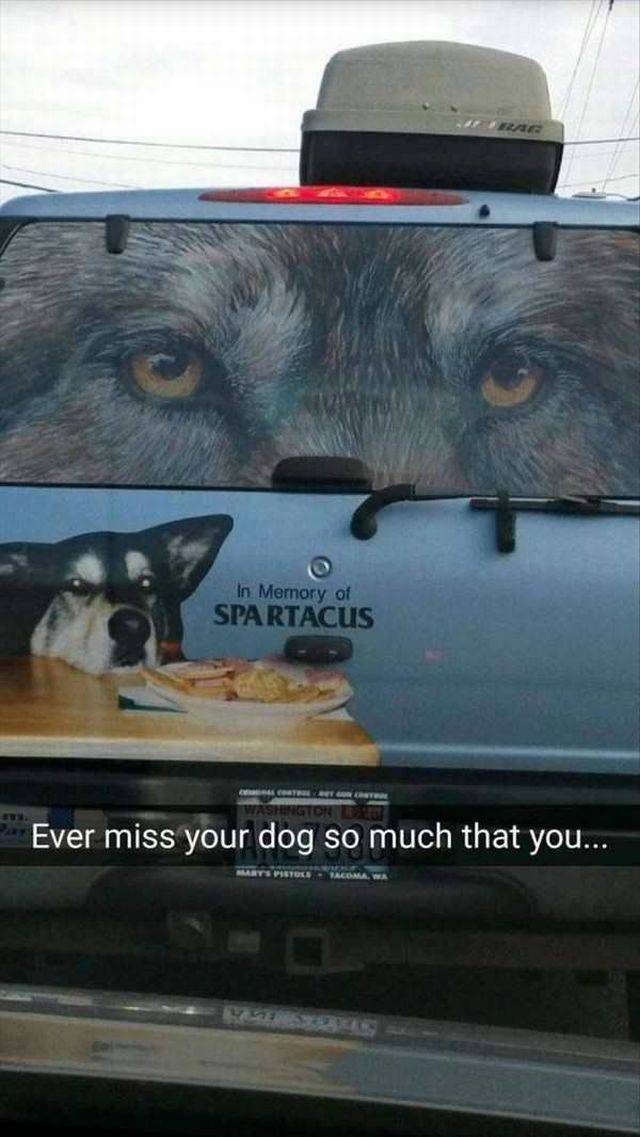 daily picdump 89 pics 11.html - 89 HD Photos | Premium Gallery 2016