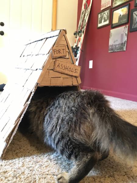 morning picdump 50 pics 8.html - 50 HD Photos | Premium Gallery 2016