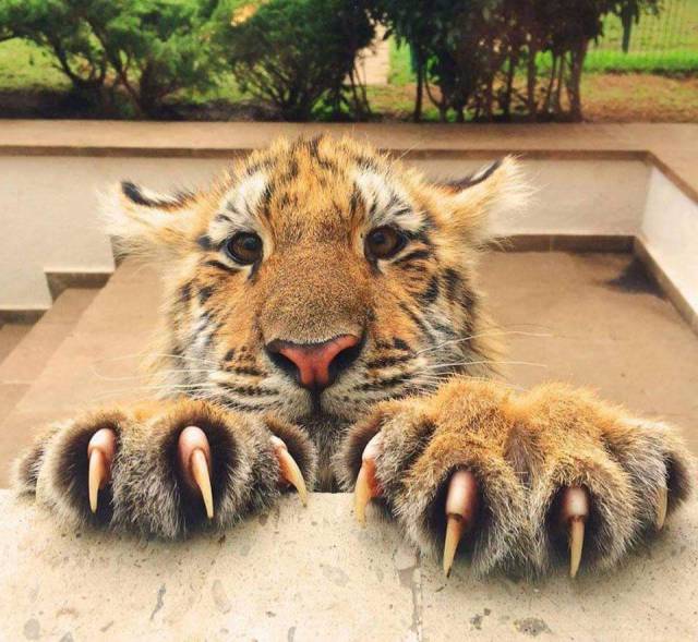 morning picdump 50 pics 8.html - 50 HD Photos | Premium Gallery 2016