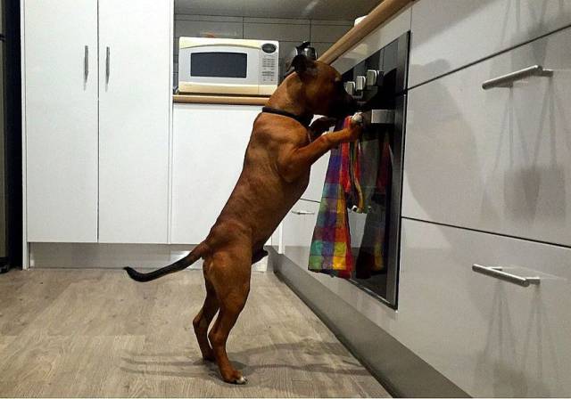 daily picdump 90 pics 2.html - 90 HD Photos | Premium Gallery 2016