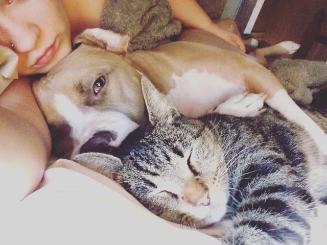 daily picdump 90 pics 2.html - 90 HD Photos | Premium Gallery 2016