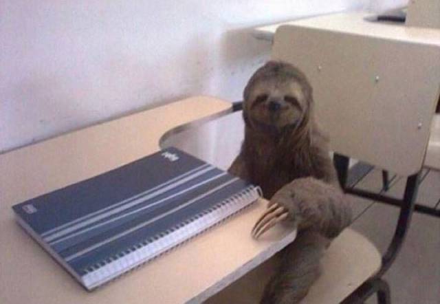 daily picdump 90 pics 2.html - 90 HD Photos | Premium Gallery 2016