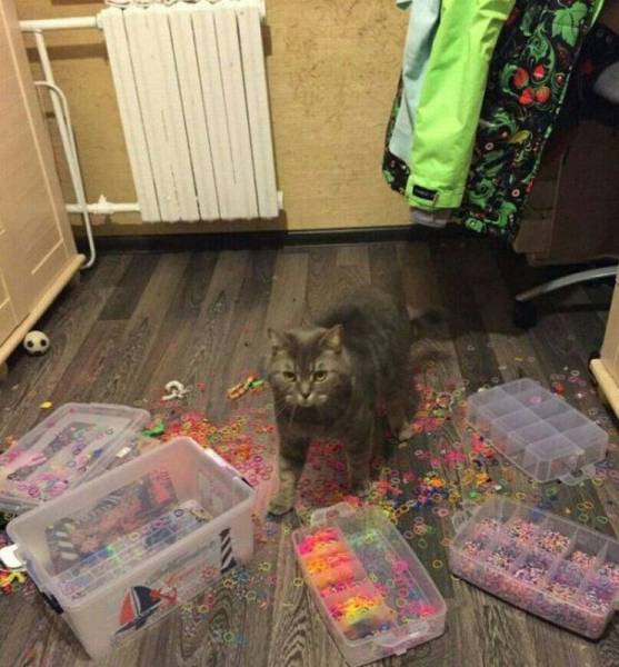 daily picdump 90 pics 2.html - 90 HD Photos | Premium Gallery 2016