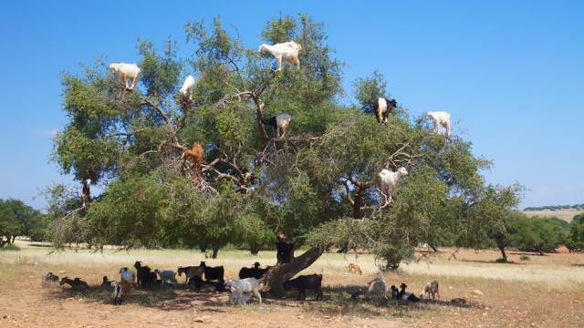 daily picdump 90 pics 2.html - 90 HD Photos | Premium Gallery 2016