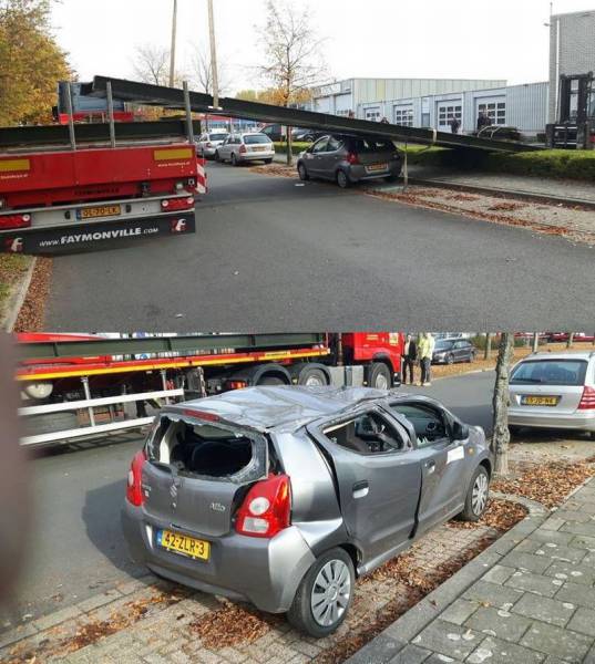 daily picdump 90 pics 2.html - 90 HD Photos | Premium Gallery 2016