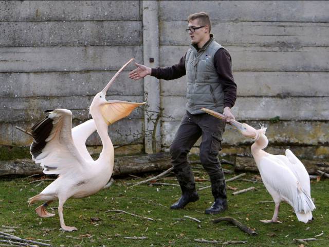 daily picdump 90 pics 2.html - 90 HD Photos | Premium Gallery 2016