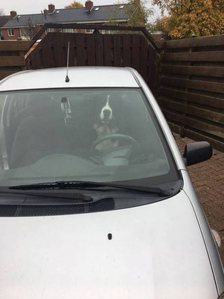 daily picdump 90 pics 2.html - 90 HD Photos | Premium Gallery 2016