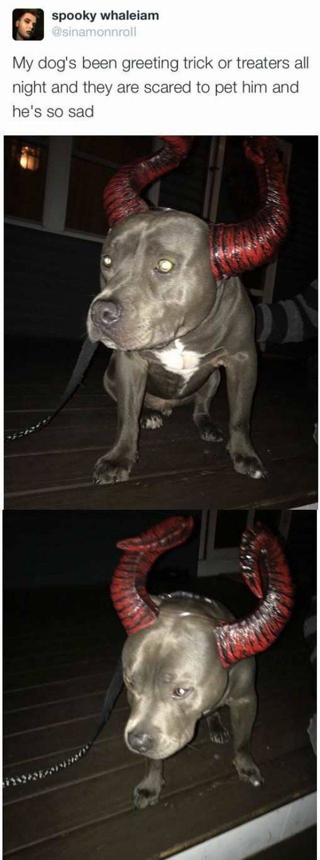 daily picdump 90 pics 2.html - 90 HD Photos | Premium Gallery 2016