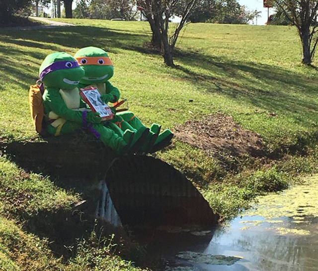 morning picdump 50 pics 18.html - 50 HD Photos | Premium Gallery 2016