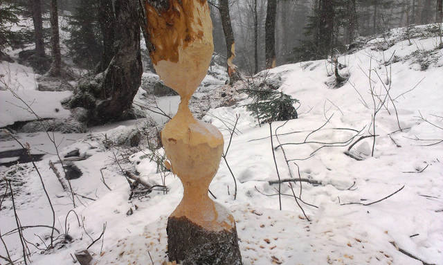 morning picdump 50 pics 18.html - 50 HD Photos | Premium Gallery 2016