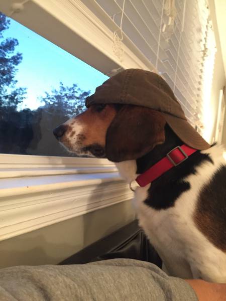 morning picdump 50 pics 18.html - 50 HD Photos | Premium Gallery 2016