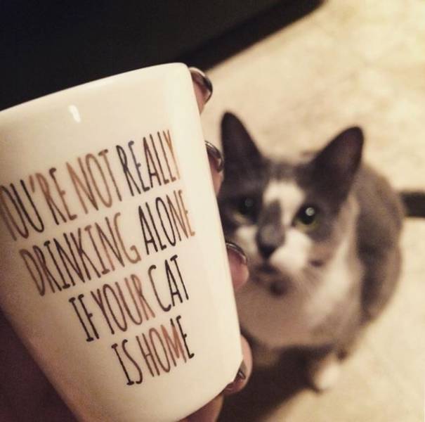 morning picdump 50 pics 18.html - 50 HD Photos | Premium Gallery 2016