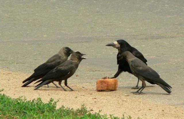 daily picdump 90 pics 42.html - 90 HD Photos | Premium Gallery 2016