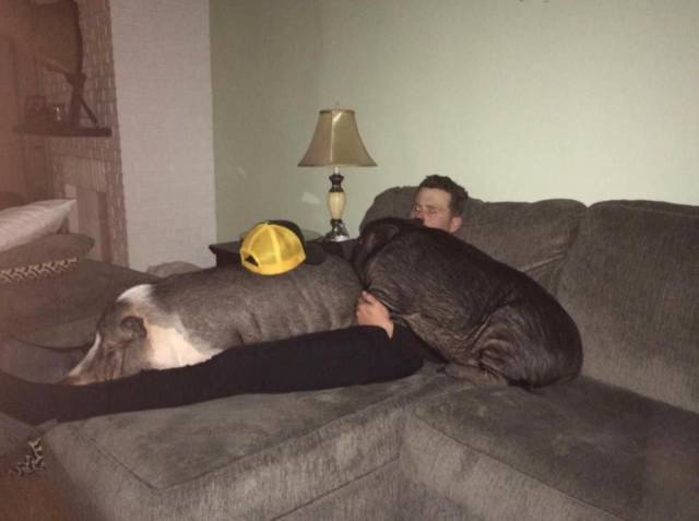 daily picdump 90 pics 42.html - 90 HD Photos | Premium Gallery 2016