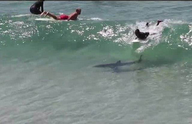 daily picdump 90 pics 42.html - 90 HD Photos | Premium Gallery 2016