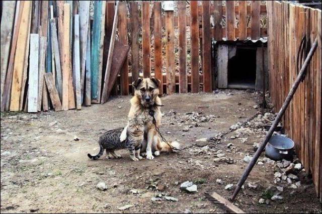 daily picdump 90 pics 42.html - 90 HD Photos | Premium Gallery 2016