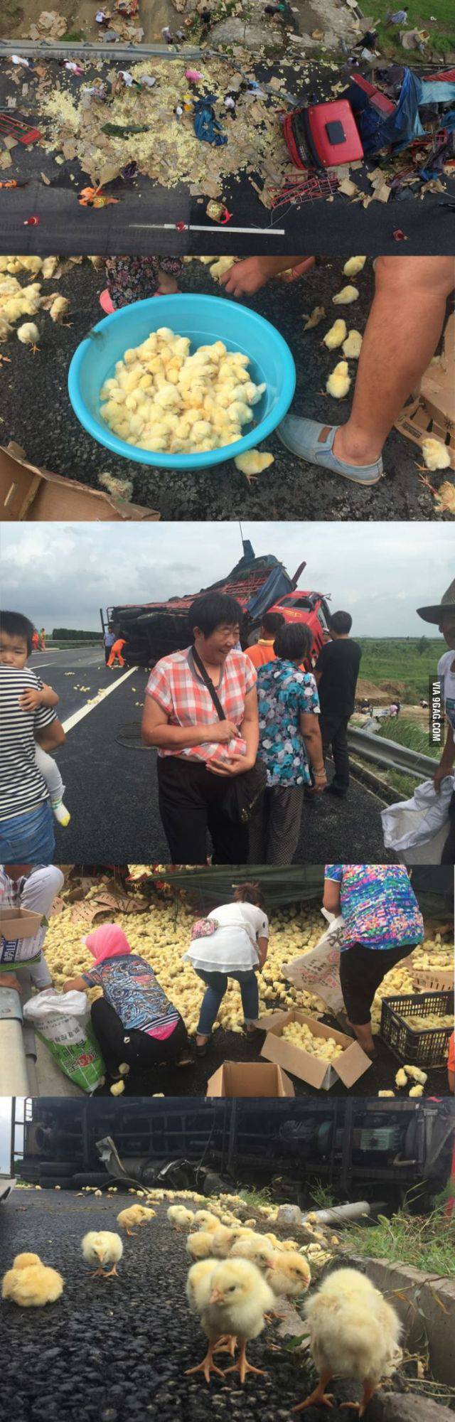 daily picdump 90 pics 42.html - 90 HD Photos | Premium Gallery 2016