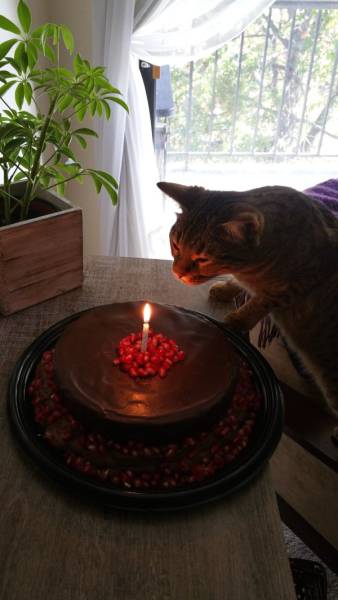 morning picdump 50 pics 2.html - 50 HD Photos | Premium Gallery 2016