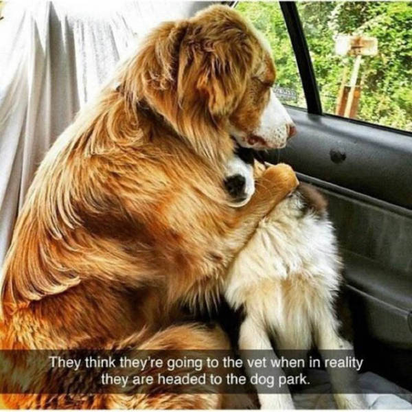 morning picdump 50 pics 2.html - 50 HD Photos | Premium Gallery 2016