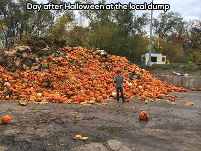 morning picdump 50 pics 2.html - 50 HD Photos | Premium Gallery 2016