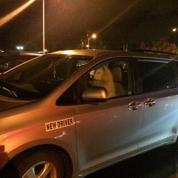 morning picdump 50 pics 2.html - 50 HD Photos | Premium Gallery 2016