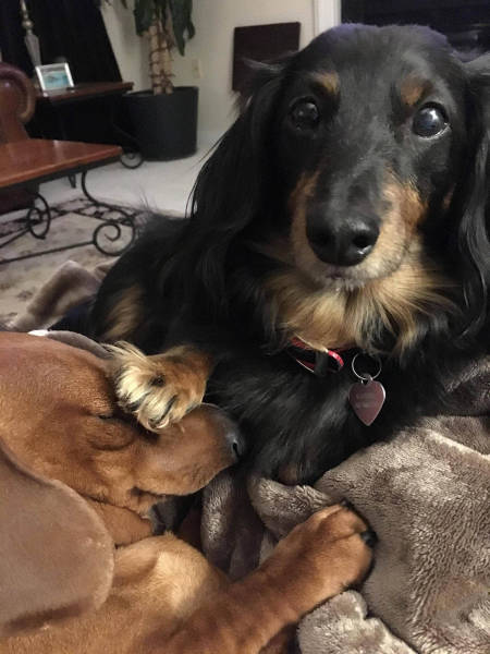 morning picdump 50 pics 2.html - 50 HD Photos | Premium Gallery 2016