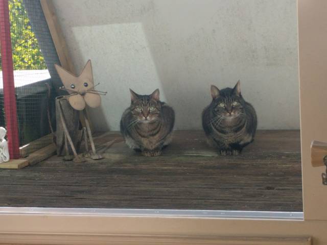 daily picdump weekend edition 58 pics 5.html - 58 HD Photos | Premium Gallery 2016