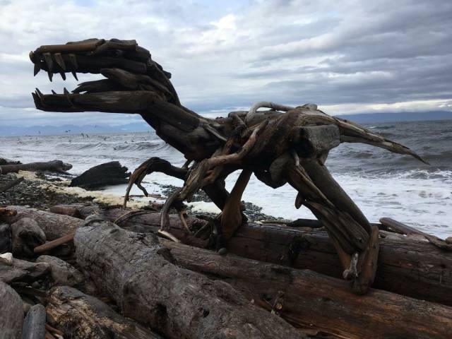 daily picdump weekend edition 58 pics 5.html - 58 HD Photos | Premium Gallery 2016