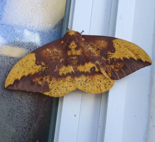 daily picdump weekend edition 58 pics 5.html - 58 HD Photos | Premium Gallery 2016